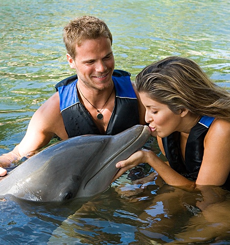 Aventuras de nado con delfines en México