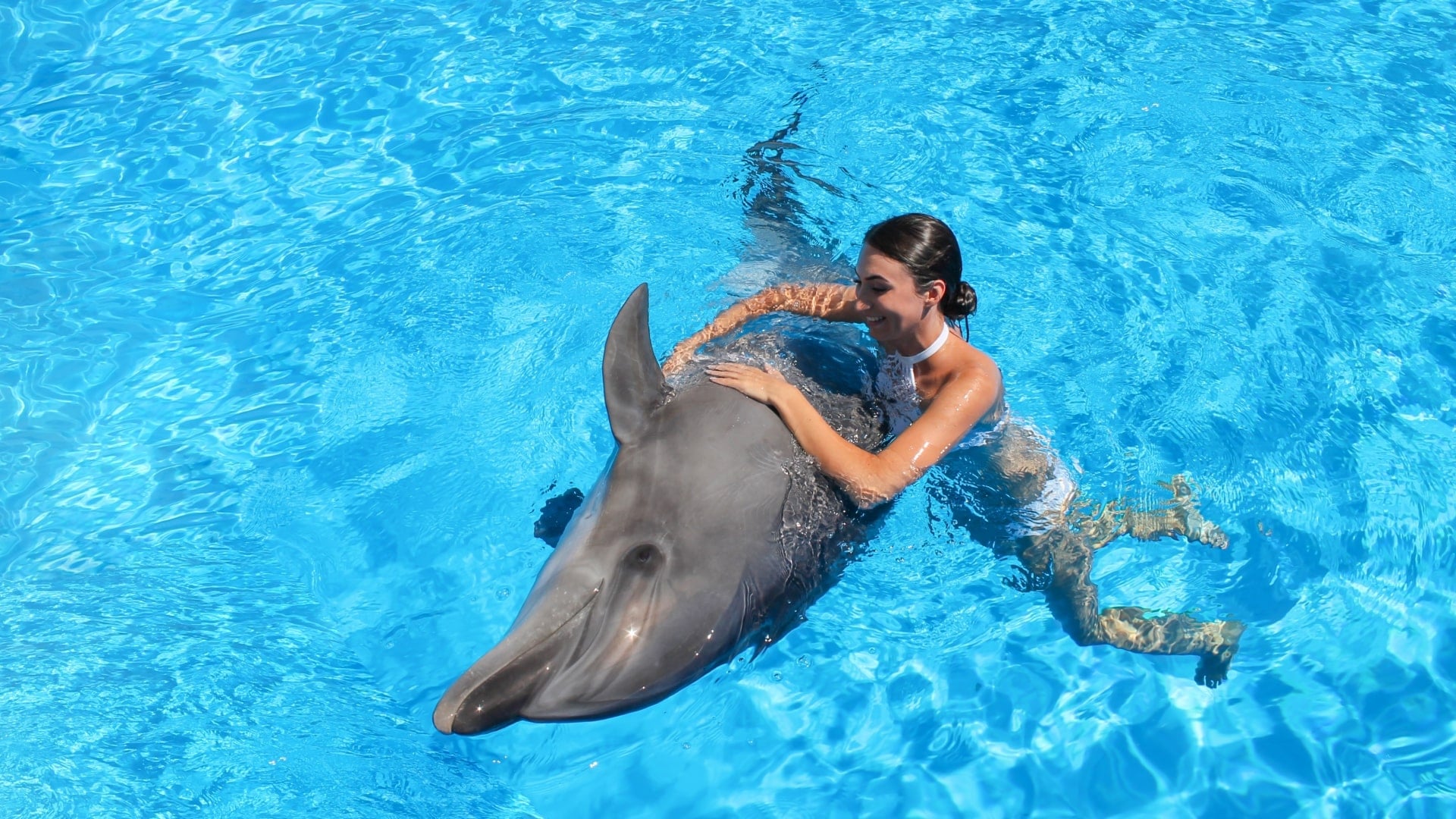 Aventuras en Puerto Vallarta, Jalisco